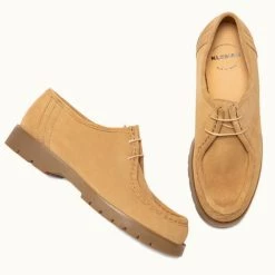 KLEMAN PADROR VV LION -kleman Soldes unnamed file 410